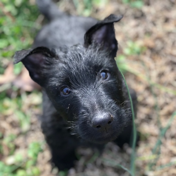 Meet your Posher, Tracie - Picture 8 of 8